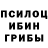 Галлюциногенные грибы Psilocybe ynw_sora