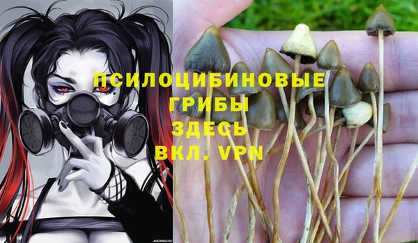 дживик Алексин