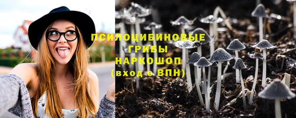 шишки Алексеевка