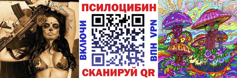 закладка  Чистополь  Псилоцибиновые грибы мицелий 